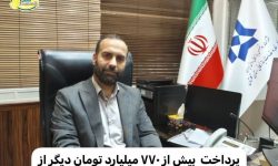 پرداخت بیش از ۷۷۰ میلیارد تومان دیگر از مطالبات گنندمکاران